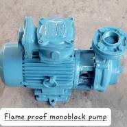 Flame Proof Pump Manufacturers in District Centre