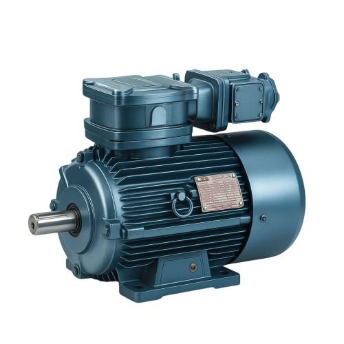 Flameproof Motors Manufacturers In District Centre