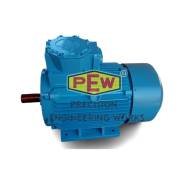 TEFC Induction Motor Manufacturers in Kohima