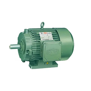 TEFC Induction Motor Manufacturers in Mumbai